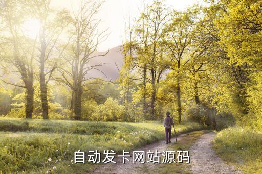 自動發(fā)卡網(wǎng)站源碼
