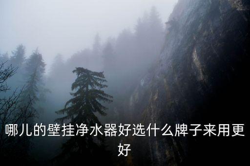 哪兒的壁掛凈水器好選什么牌子來用更好