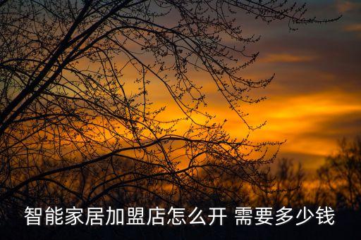 智能家居加盟店怎么開(kāi) 需要多少錢(qián)