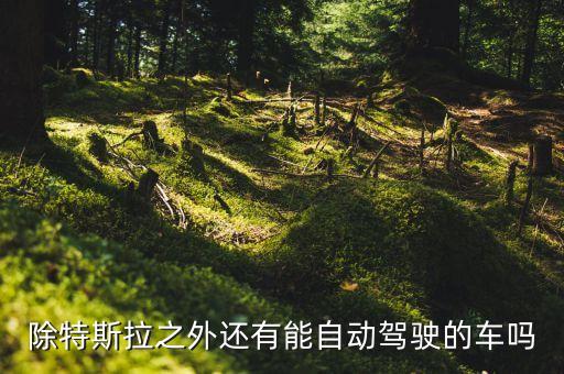 只有特斯拉有自動駕駛嗎，除特斯拉之外還有能自動駕駛的車嗎