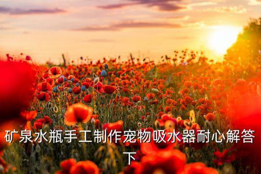 礦泉水吸水器，瓶裝水吸氣倒水裝置