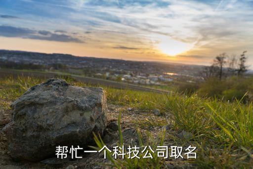 幫忙一個科技公司取名