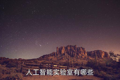 人工智能實(shí)驗(yàn)室有哪些