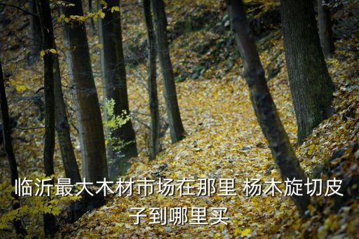 臨沂最大木皮市場(chǎng)在哪里，臨沂最大木材市場(chǎng)在那里 楊木旋切皮子到哪里買
