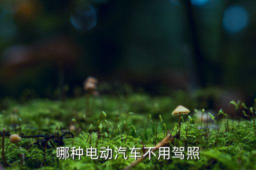 哪種電動(dòng)汽車不用駕照