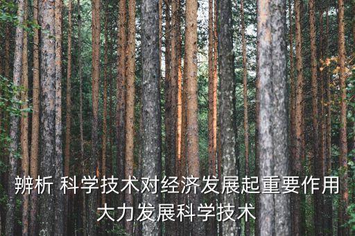 科技賦能經(jīng)濟，辨析 科學(xué)技術(shù)對經(jīng)濟發(fā)展起重要作用大力發(fā)展科學(xué)技術(shù)