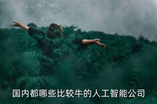 國內(nèi)都哪些比較牛的人工智能公司