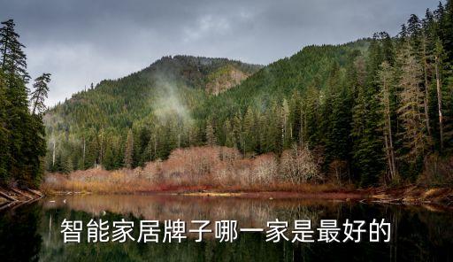智能家居牌子哪一家是最好的