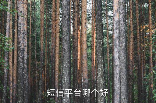 短信平臺哪個好