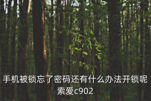 躍通數(shù)控鎖孔機參數(shù)，手機被鎖忘了密碼還有什么辦法開鎖呢索愛c902