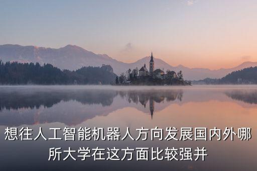 想往人工智能機器人方向發(fā)展國內外哪所大學在這方面比較強并