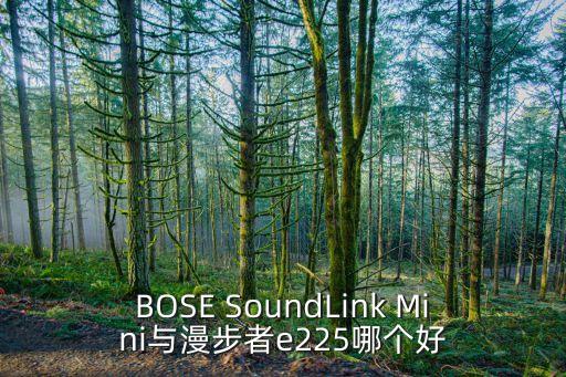 BOSE SoundLink Mini與漫步者e225哪個好