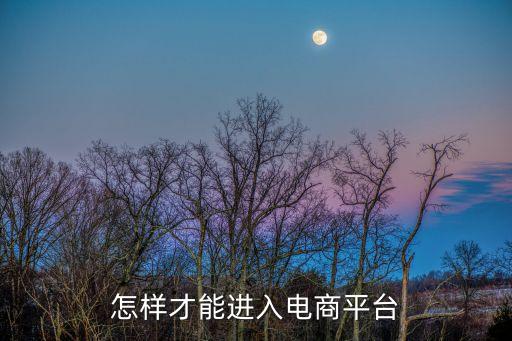 怎樣才能進入電商平臺