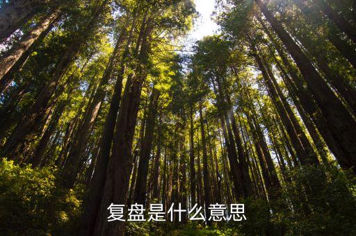 復(fù)盤是什么意思