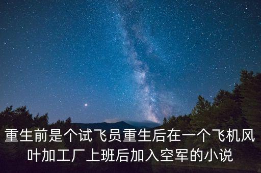 重生前是個試飛員重生后在一個飛機風(fēng)葉加工廠上班后加入空軍的小說