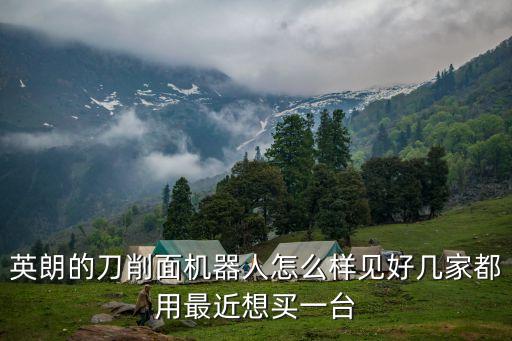 英朗的刀削面機(jī)器人怎么樣見好幾家都用最近想買一臺(tái)