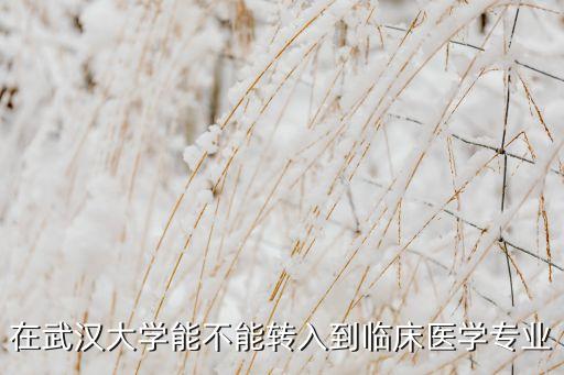 在武漢大學(xué)能不能轉(zhuǎn)入到臨床醫(yī)學(xué)專業(yè)