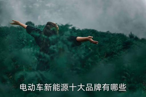 電動車新能源十大品牌有哪些