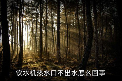 飲水機熱水口不出水怎么回事