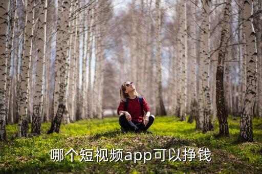 正規(guī)掙錢最快的app視頻，哪個(gè)短視頻APP能賺錢