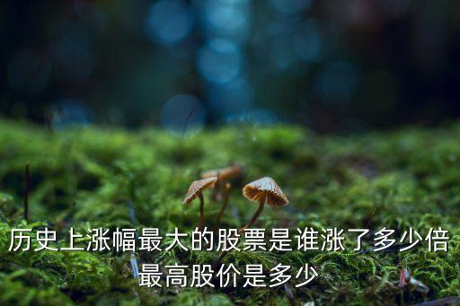 歷史上漲幅最大的股票是誰(shuí)漲了多少倍最高股價(jià)是多少