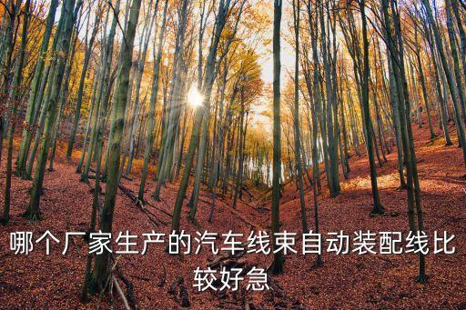 哪個廠家生產(chǎn)的汽車線束自動裝配線比較好急