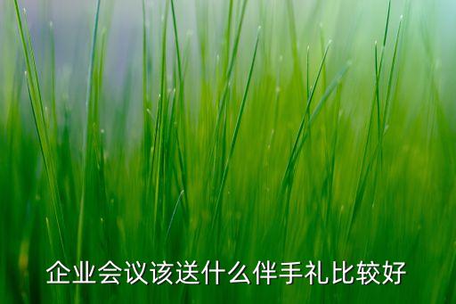 企業(yè)會(huì)議該送什么伴手禮比較好
