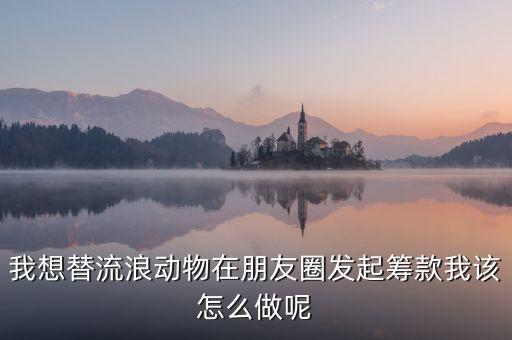 給流浪貓眾籌，我想替流浪動物在朋友圈發(fā)起籌款我該怎么做呢