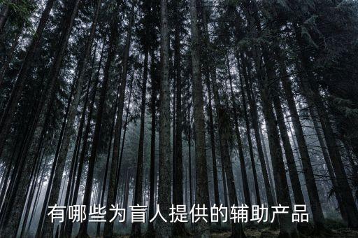 有哪些為盲人提供的輔助產(chǎn)品
