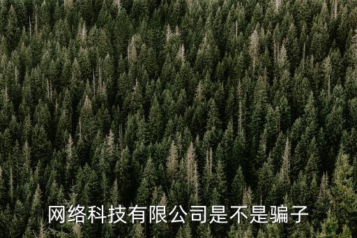 網(wǎng)絡(luò)科技公司如何詐騙，網(wǎng)絡(luò)詐騙太可惡了聽(tīng)說(shuō)廣州華多網(wǎng)絡(luò)科技有限公司很重視他們是不
