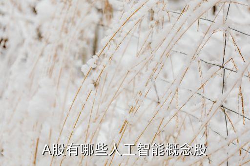 人工智能技術(shù)概念股票，人工智能概念都有哪些股票