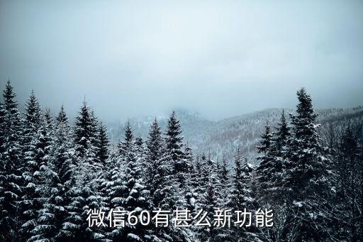 微信60有甚么新功能