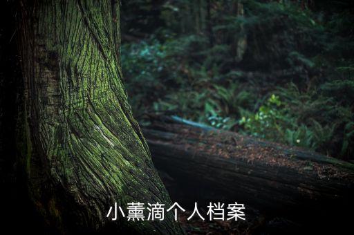 路路小醬的個(gè)人資料，路路小醬的全拼是什么