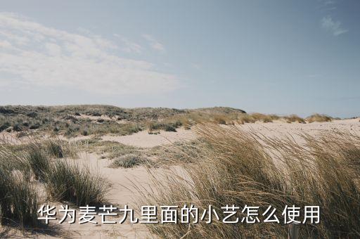 小藝小藝，華為手機x20青春版小藝怎么開