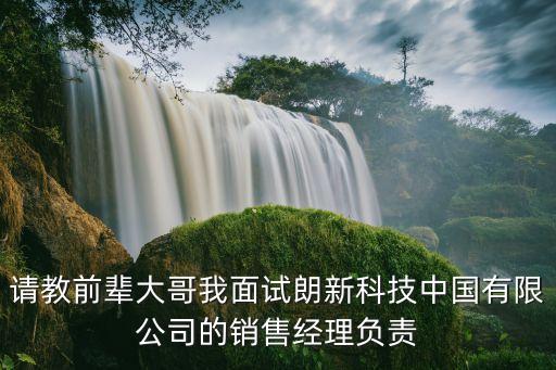 請教前輩大哥我面試?yán)市驴萍贾袊邢薰镜匿N售經(jīng)理負(fù)責(zé)