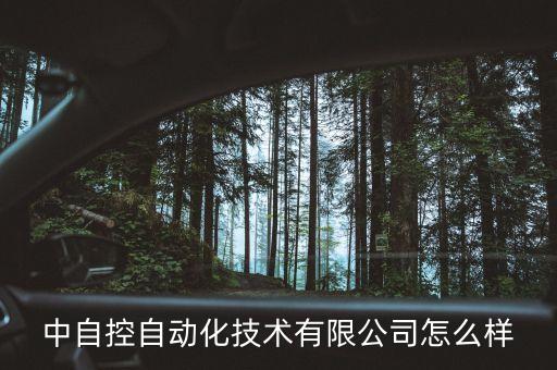 中自控自動化技術(shù)有限公司怎么樣