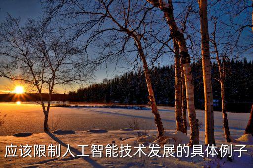 應(yīng)該限制人工智能技術(shù)發(fā)展的具體例子
