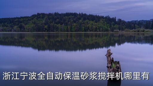 寧波宏碩自動(dòng)化科技有限公司，浙江寧波全自動(dòng)保溫砂漿攪拌機(jī)哪里有