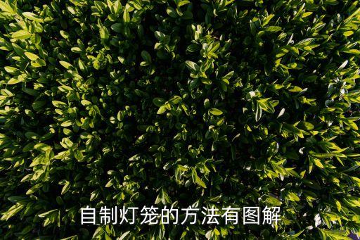 手工制作燈籠圖片大全，自制燈籠的方法有圖解