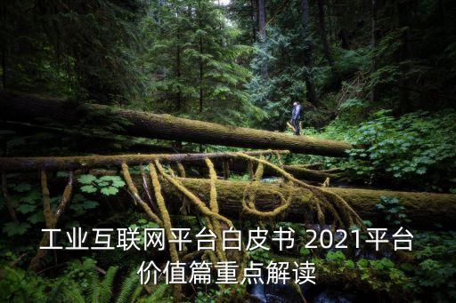 工業(yè)互聯(lián)網(wǎng)平臺(tái)白皮書 2021平臺(tái)價(jià)值篇重點(diǎn)解讀