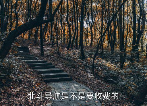 北斗導航是不是要收費的