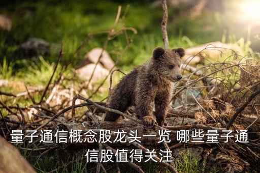 量子通信概念股龍頭一覽 哪些量子通信股值得關(guān)注