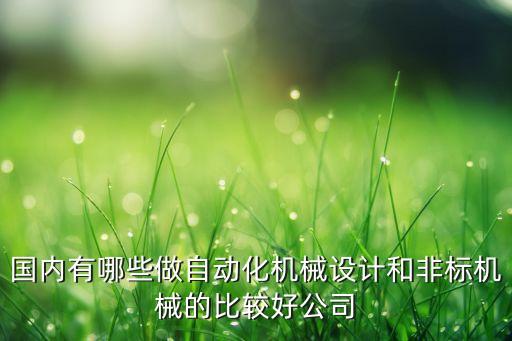 國內(nèi)有哪些做自動化機(jī)械設(shè)計和非標(biāo)機(jī)械的比較好公司
