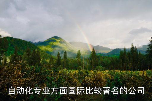自動(dòng)化專業(yè)方面國(guó)際比較著名的公司