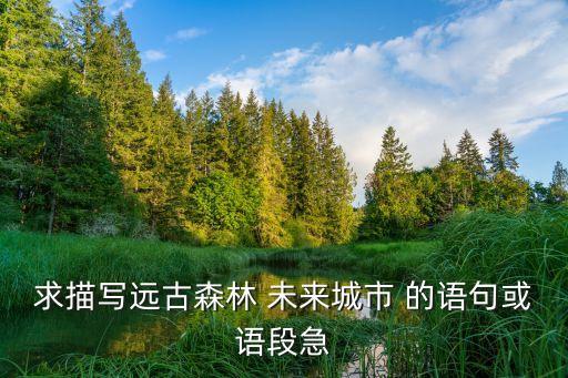 求描寫遠古森林 未來城市 的語句或語段急