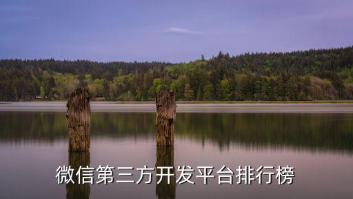 ai開發(fā)平臺排名，微信第三方開發(fā)平臺排行榜