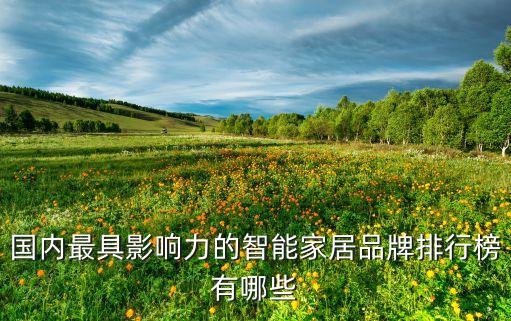 國內最具影響力的智能家居品牌排行榜有哪些