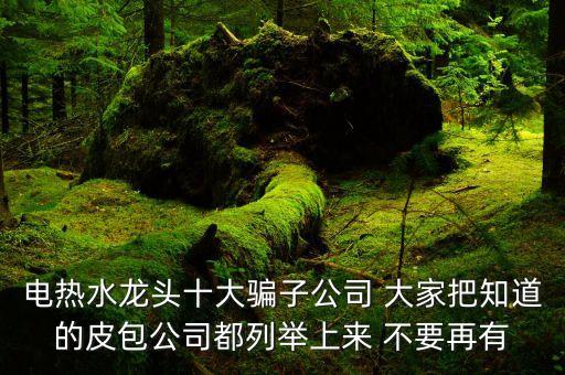 電熱水龍頭十大騙子公司 大家把知道的皮包公司都列舉上來 不要再有