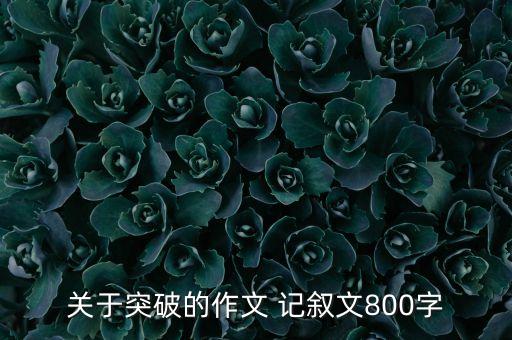 關(guān)于突破的作文 記敘文800字