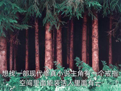 想找一部現(xiàn)代修真小說主角有一個(gè)戒指空間里面能裝活人里面有一